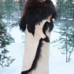 Large Buffalo Robes, Hides & Rugs: naturally tanned, highest quality