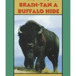 How to Brain Tan a Buffalo Hide - DVD