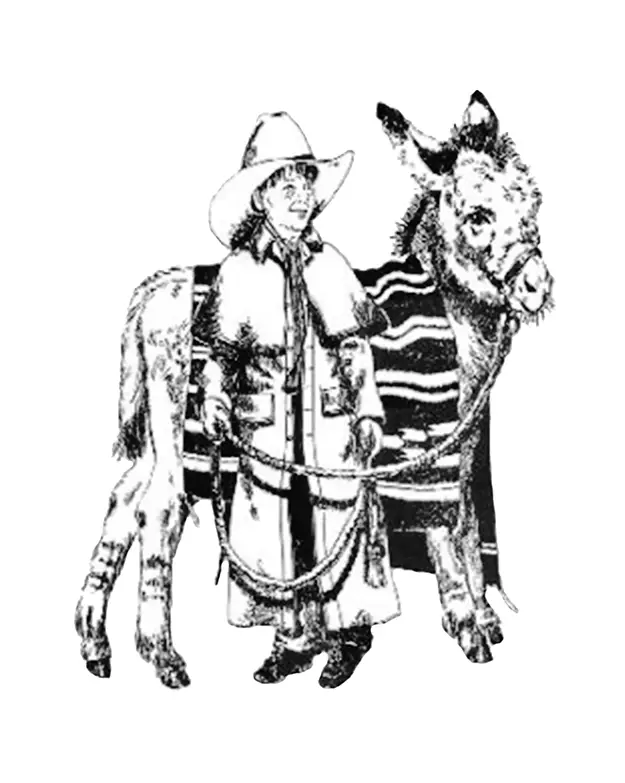 Little Ranger Pattern