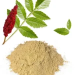 Rhus Corraria (Tanner's Sumac)