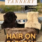 Hair On Bark Tanning - Zoom Class (No Materials Kit)