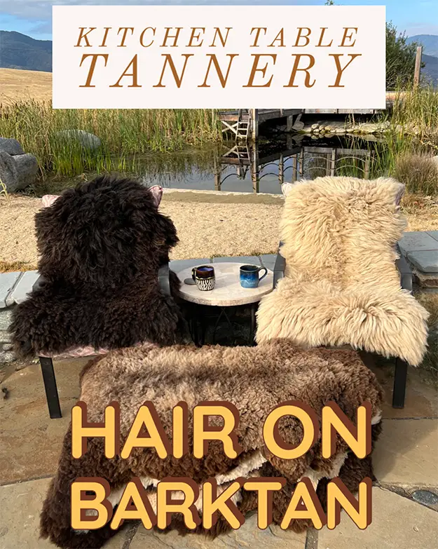 Hair On Bark Tanning - Zoom Class