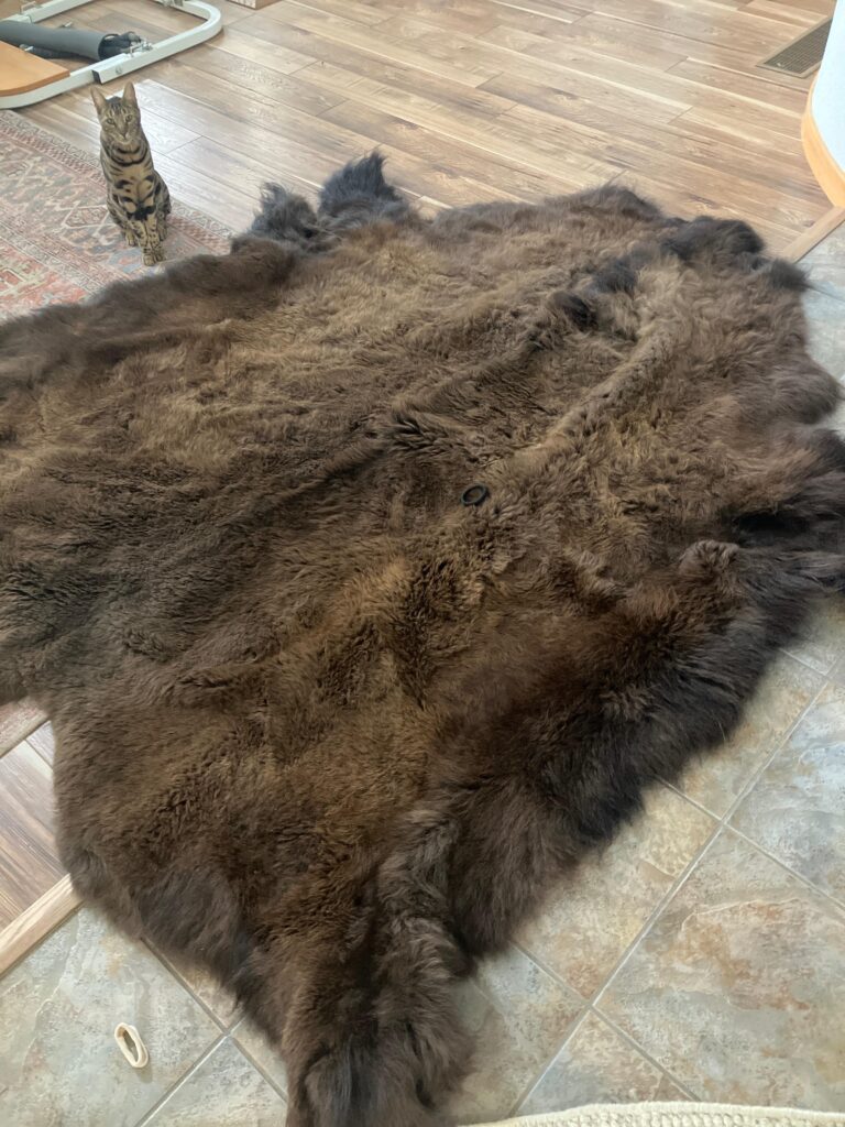 Image #1 from Scarlet ravin