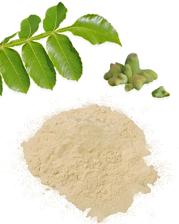 Gall Nut Extract